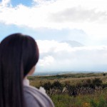 雲の隙間の山頂